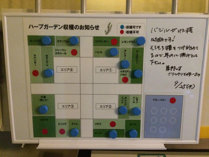 No.101 お次はハーブガーデン　ミッドスカイ　グリーン改良　第二弾！