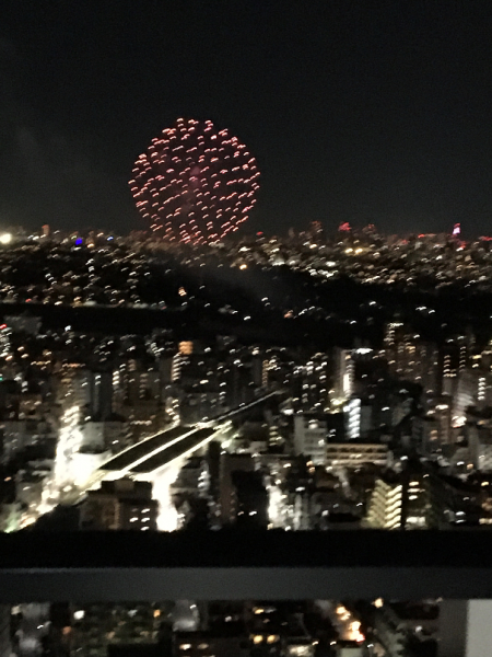 No.441  多摩川河川敷の花火