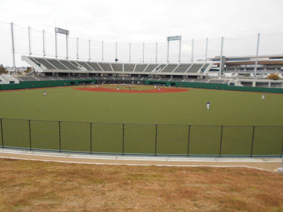 No 451 等々力緑地の等々力球場がリニューアルしました パークシティ武蔵小杉ミッドスカイタワー 公式サイト