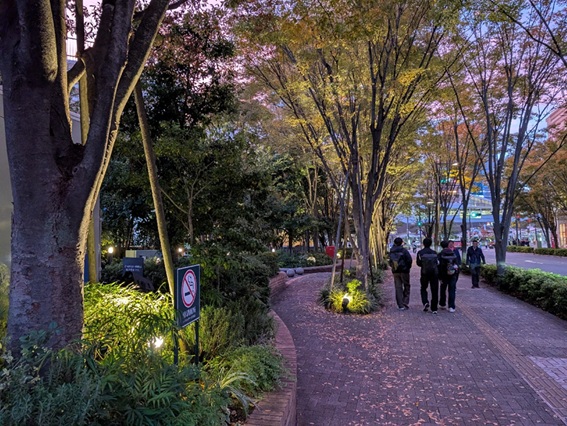 No.649　ミッドスカイタワーの秋の夕暮れ